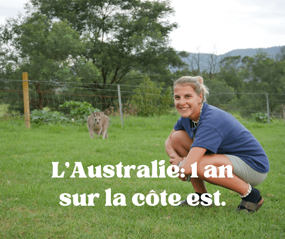 L’Australie : 1 an sur la côte est