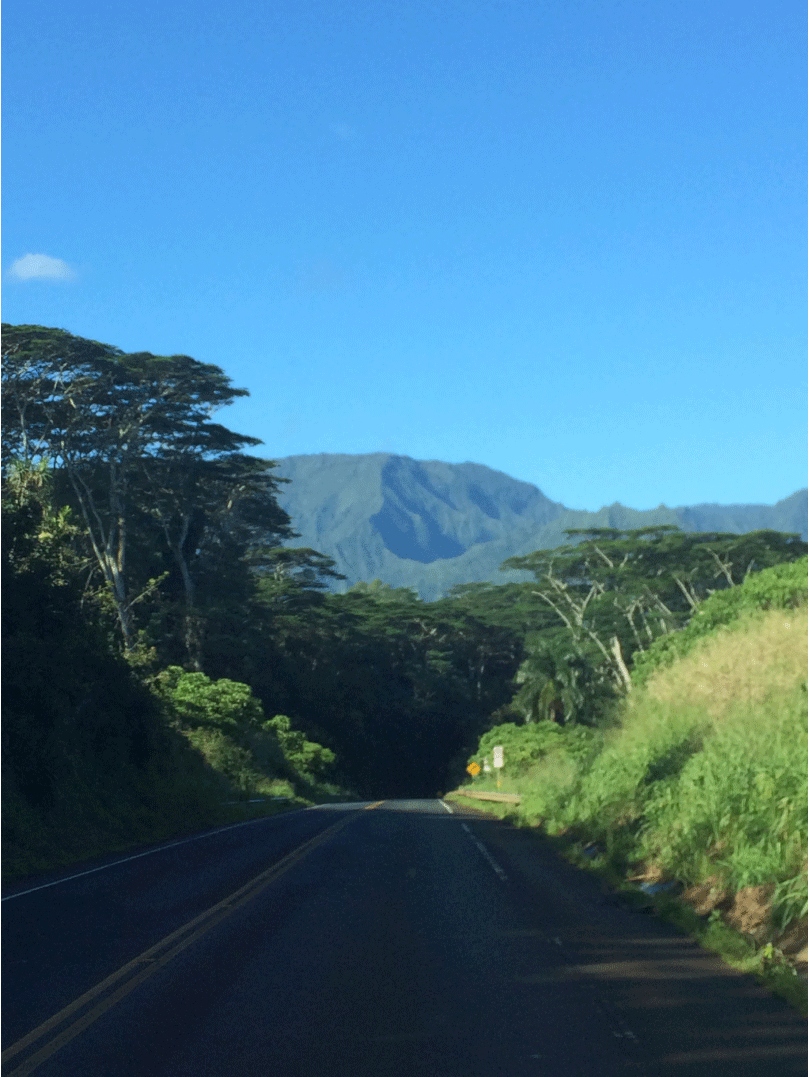 hawai-3