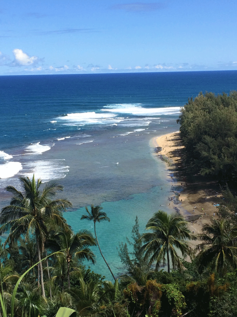 hawai-4